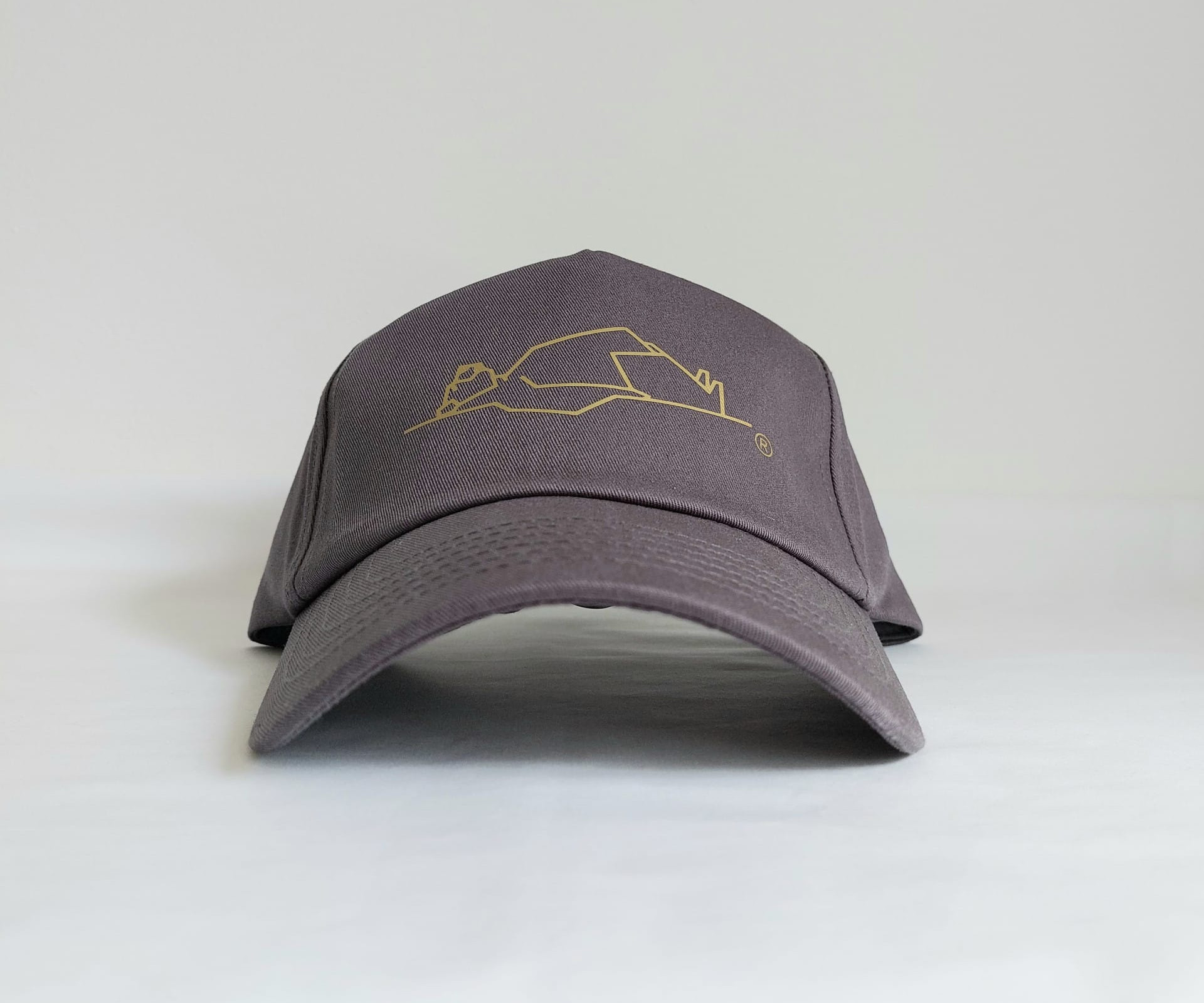 Front view of LayBakPak cap showing bear image from logo